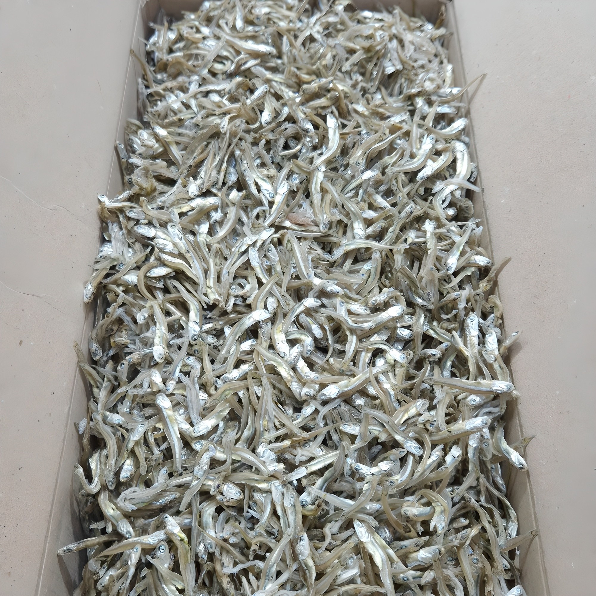 [백송식품] 품질좋은 국내산 햇 가이리멸치 1.5kg 저염 조림 볶음멸치 21,700원