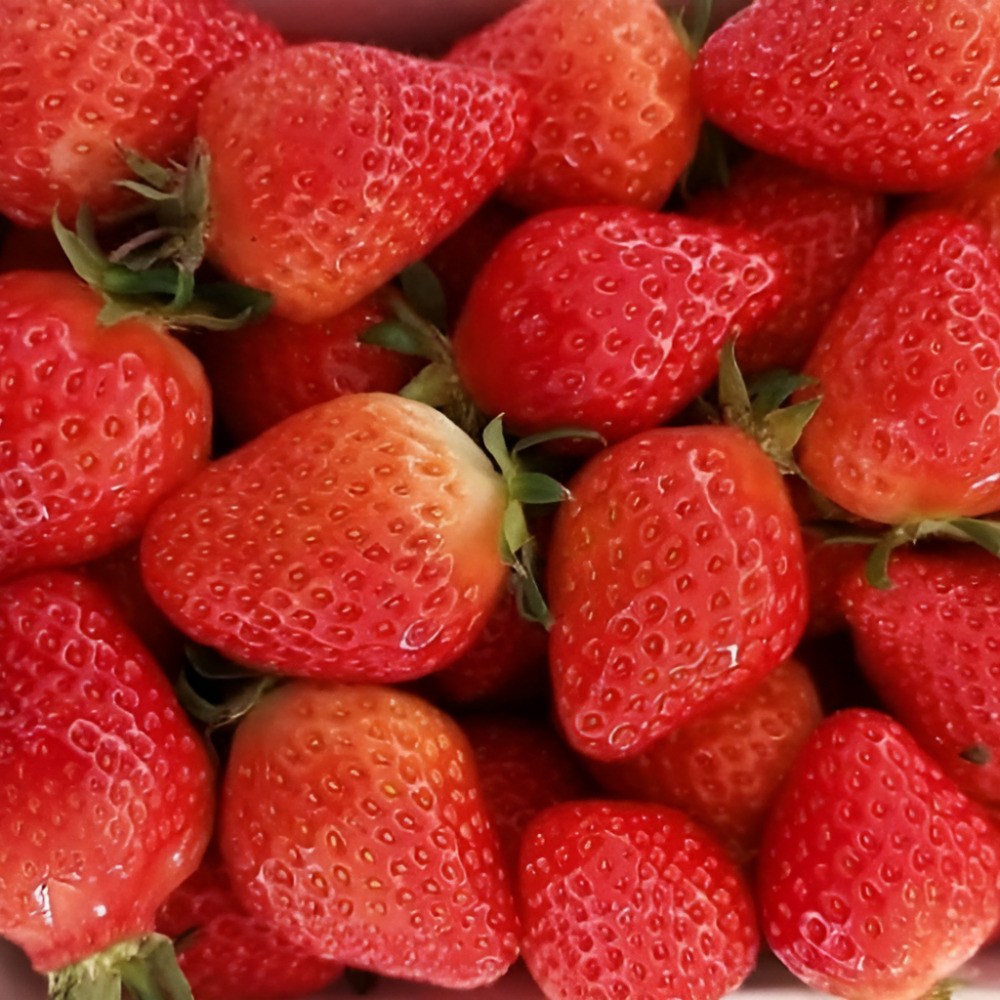 국내산 충남 논산 설향 딸기, 1박스, 1kg(A급,60-80구) 27,520원