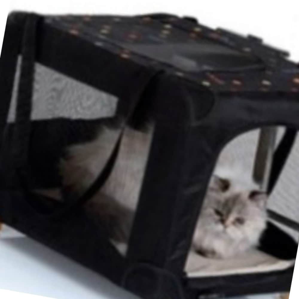 애견캐리어 댕댕이 애견가방 바퀴가방 swg+66685QP 291,080원