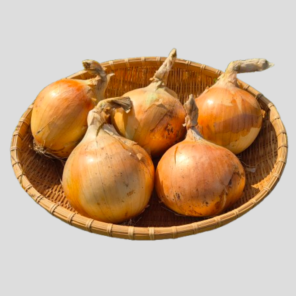 시골담다 국산 양파 산지직송 대용량 업소용 김천 햇양파 15kg 21,900원