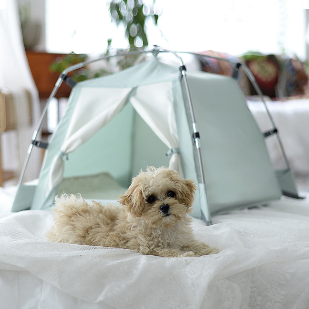 따수미 펫 텐트 17,900원