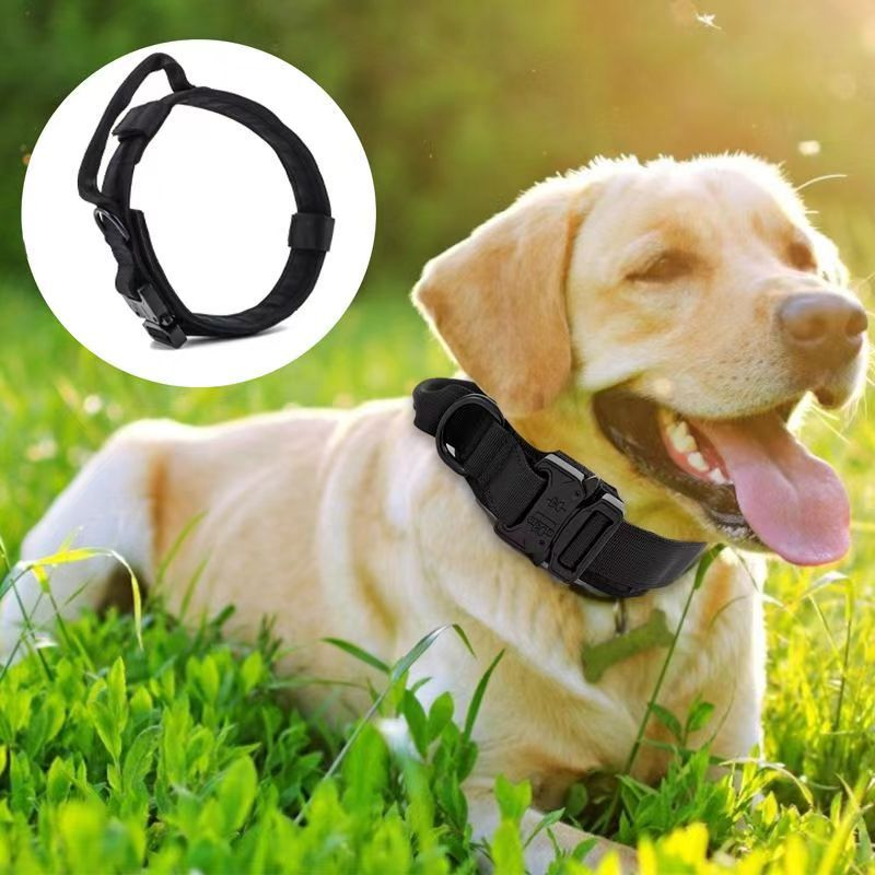 PEBBI 강아지 목줄 리드줄 세트, 1개, 블랙 15,000원