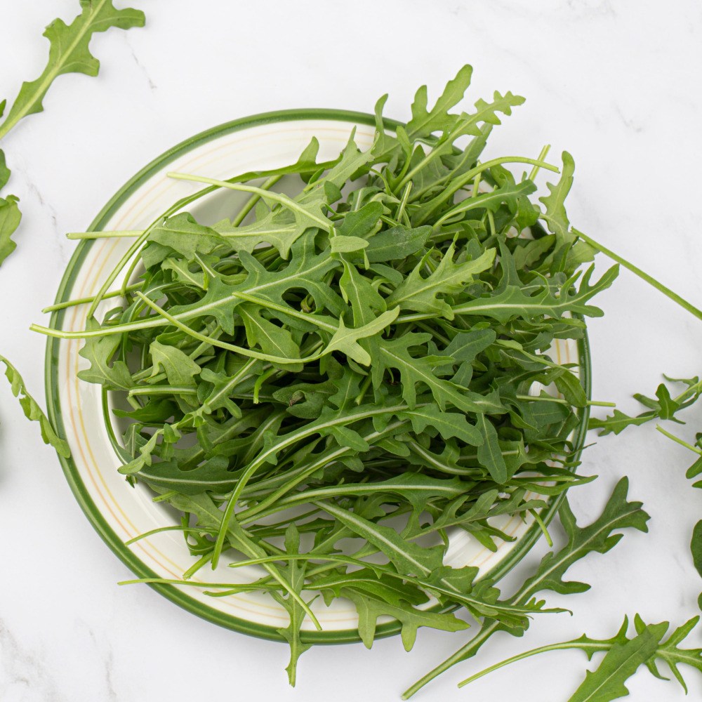 와일드루꼴라 루꼴라 샐러드, 1개, 500g 12,900원