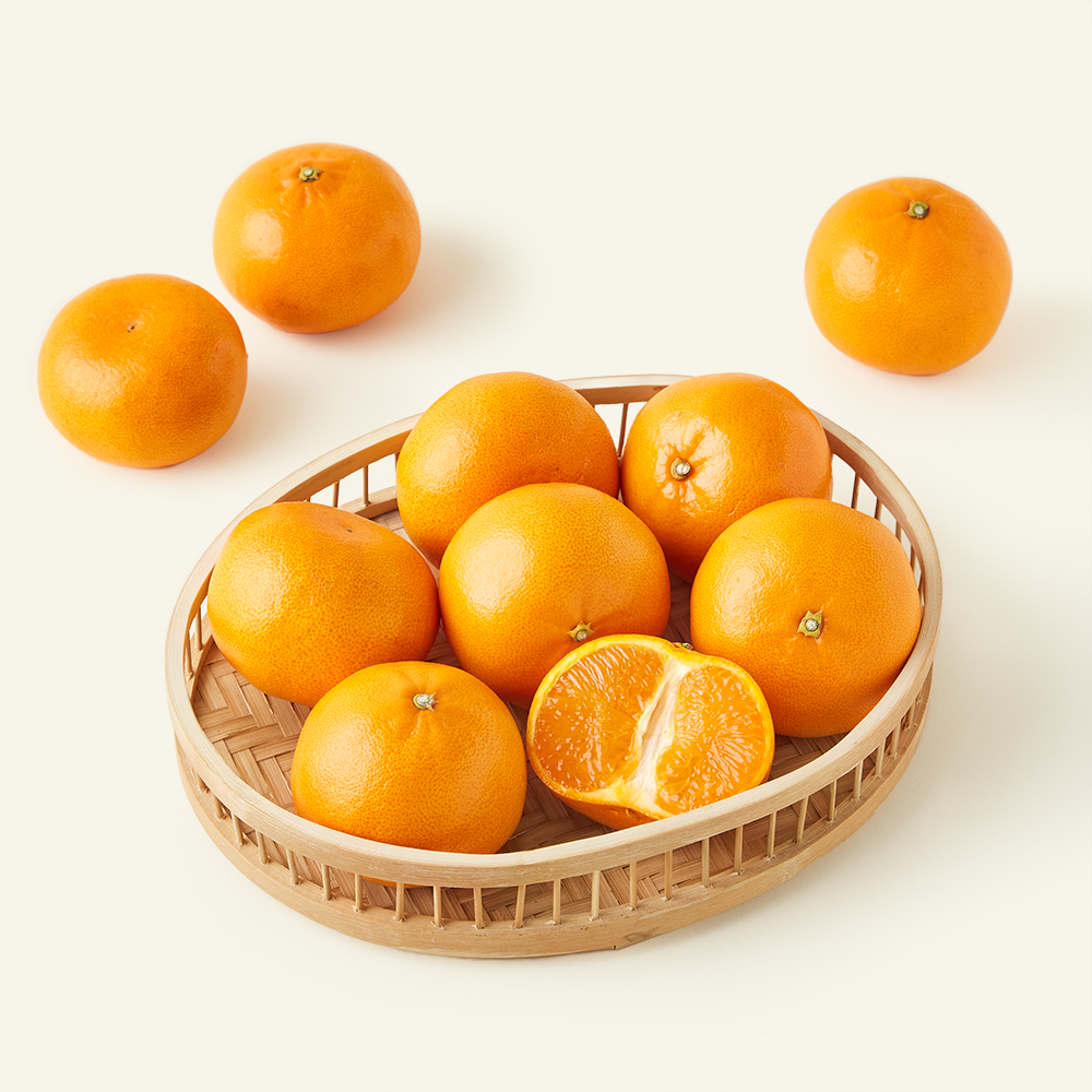 [로켓프레시] 중문농협 당도선별 황제 천혜향 12,390원