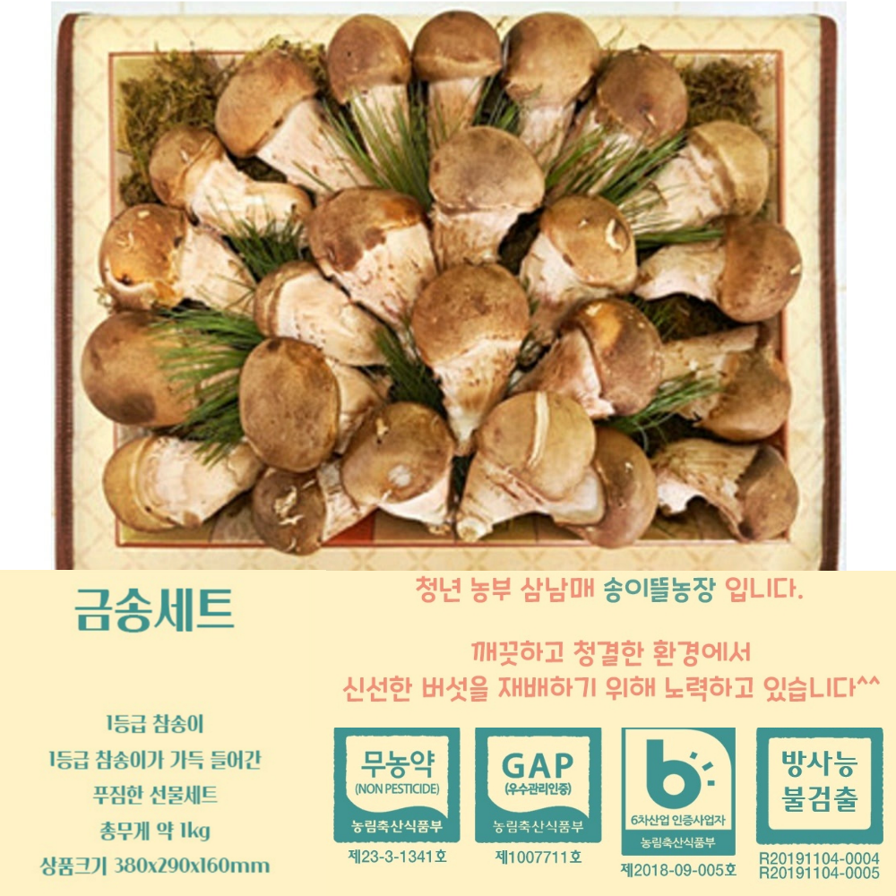 참발품 수확후 발송 참송이버섯 금송세트 129,900원