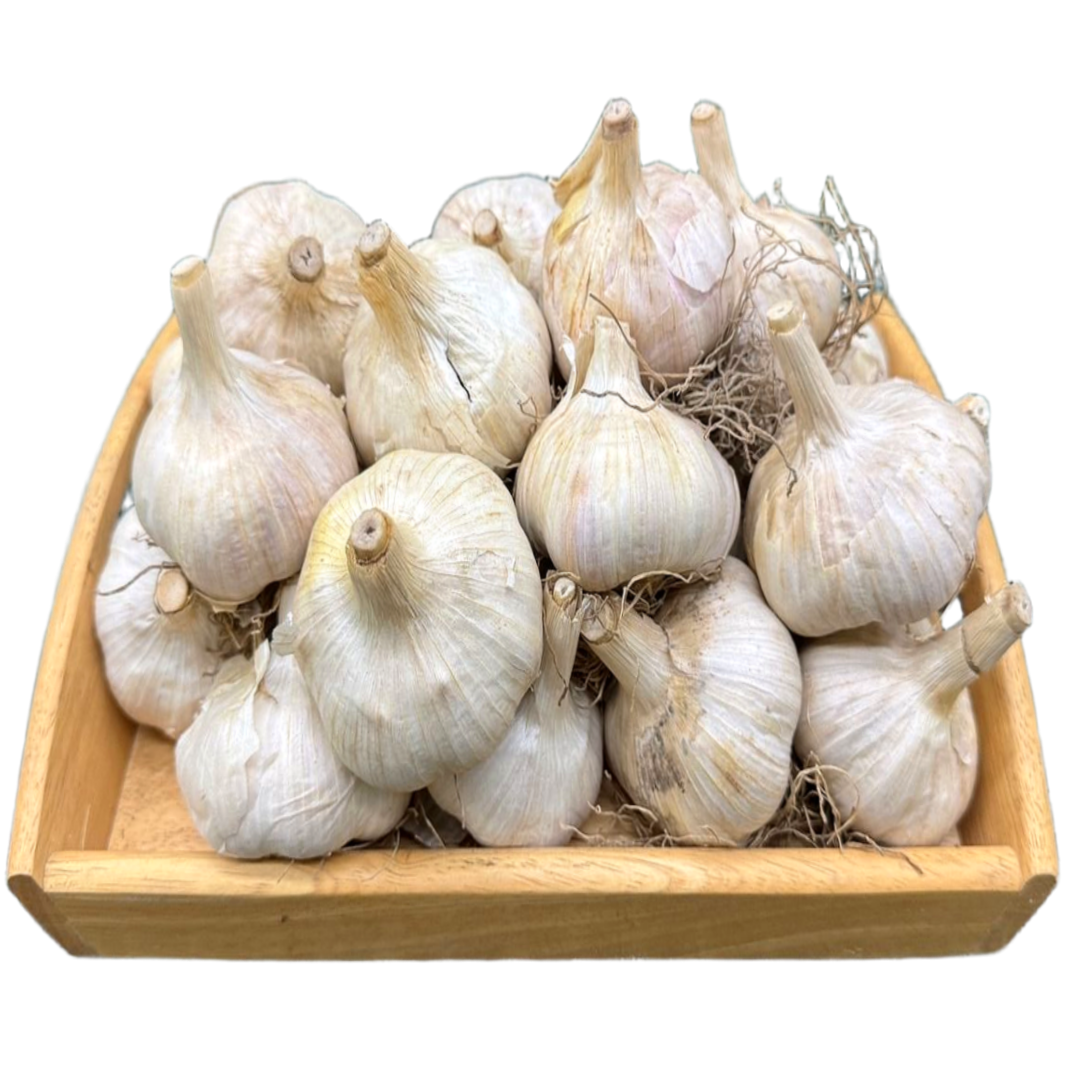 [자연바구니] 국내산 홍산마늘, 1개, 1개, 한접(5kg) - 소 45,100원