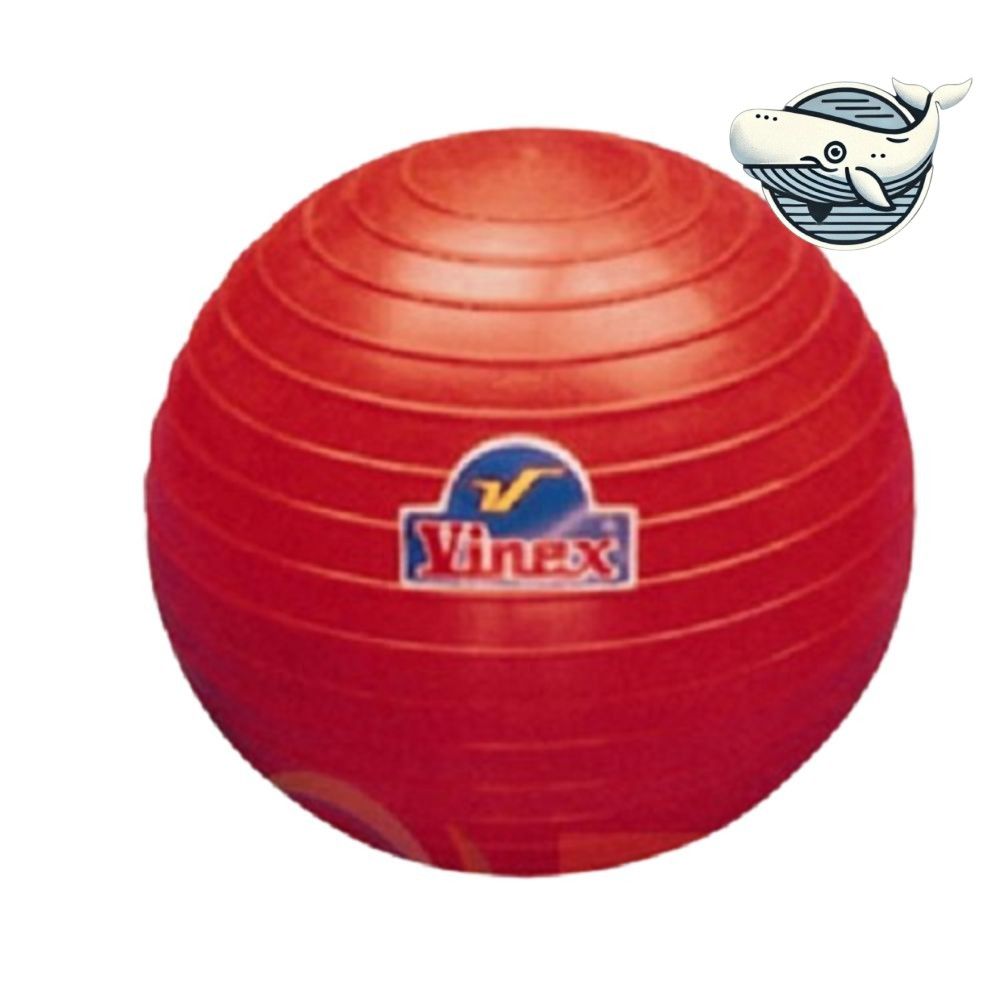 다우리 포환 연습용 공 5kg 육상 던지기 던지기 실내용포한 부드러운공 연습용 육상용품 투포한 dew+396lR 208,660원