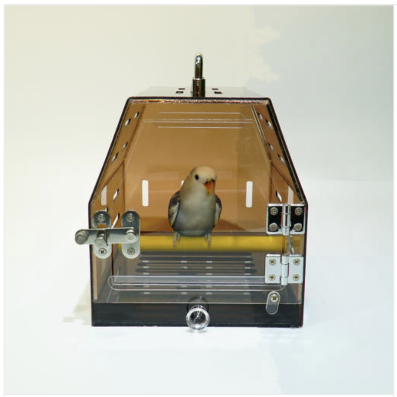 육각 소형 앵무새이동장 앵무새이동가방 렉산 이동장 휴대용 아크릴 케이지 75,000원