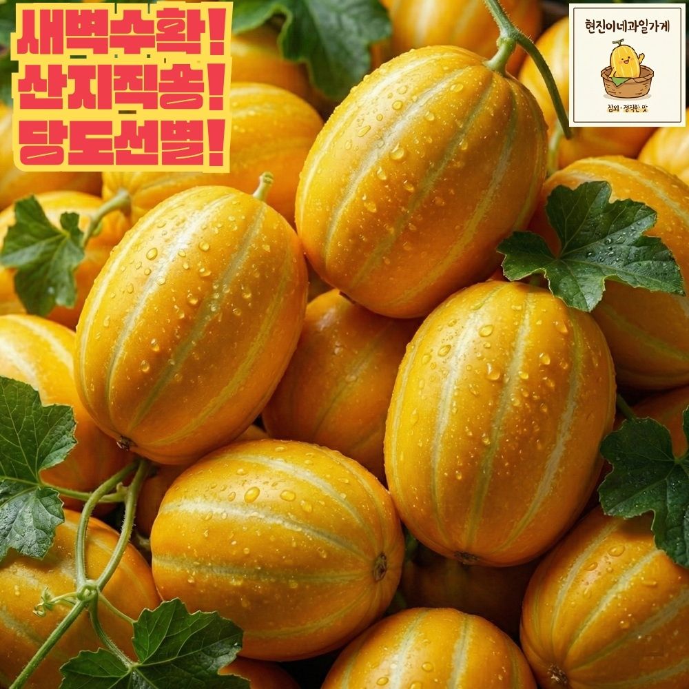 성주 꿀 참외 제철과일 산지직송 당도선별 고당도 가정용참외, 1박스, 1kg혼합과 15,900원