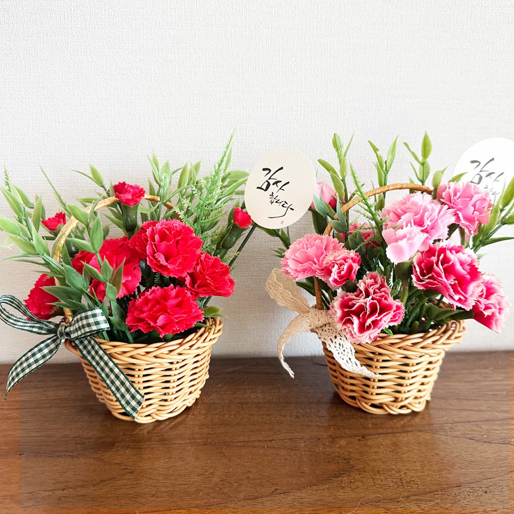 감사카네이션 꽃바구니 / 만들기키트 만들기수업 스승의날 만들기세트 돌봄교실 어버이날 DIY 카네이션만들기 5월만들기 가정의달 어버이날선물 미술활동 창의미술, 1개, 레드 6,000원