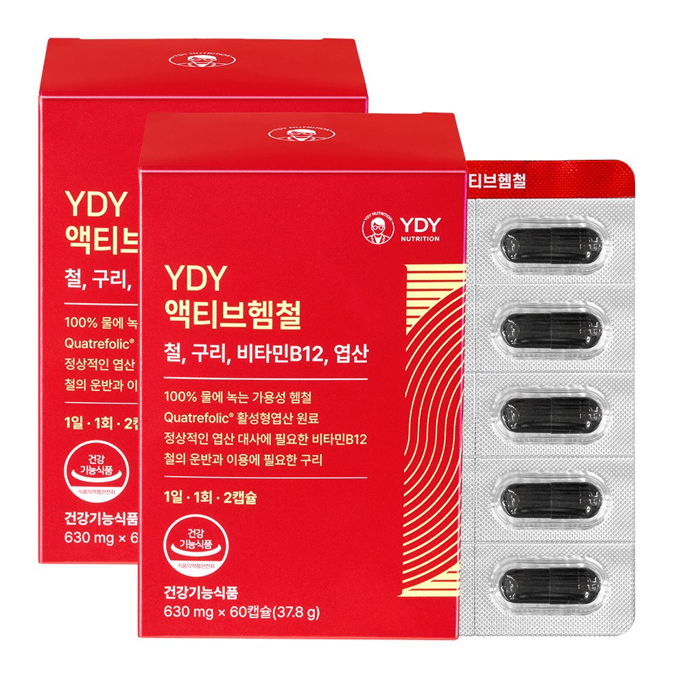 YDY 액티브헴철 고약사 약들약, 2개, 60정 74,000원