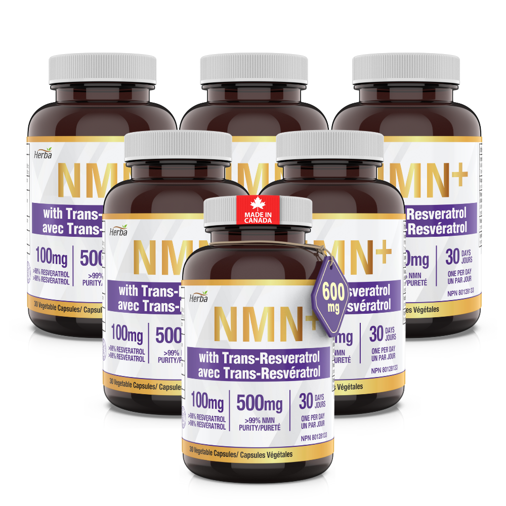 NMN 500mg 30식물성캡슐 트렌스 레스베라트롤 100mg 함유 허바캐나다, 6개, 30정 156,000원