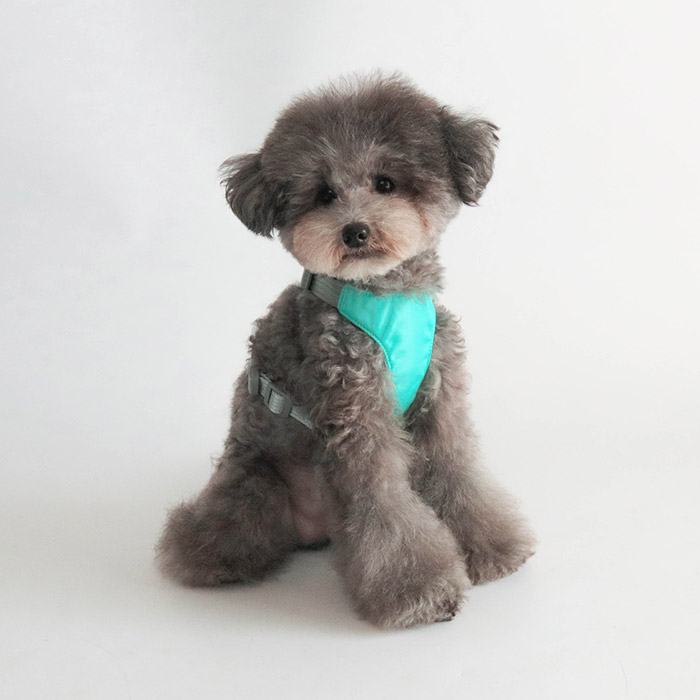 딩동펫 강아지 마카롱 통풍 메쉬 하네스 4,780원