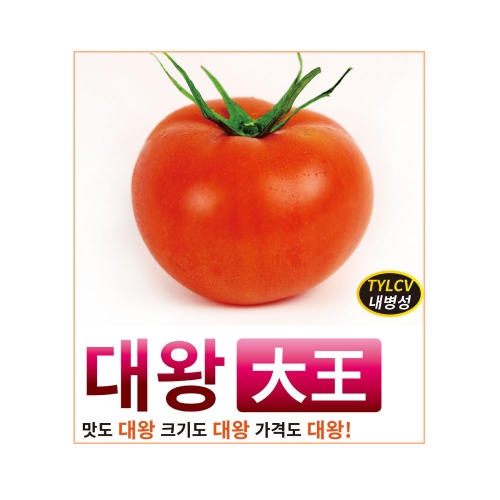 [NEW/최신종묘][BEST/발아율90%이상] (토마토씨앗종자) 대왕(1000립) 424,800원