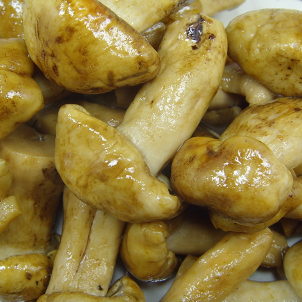 혜성푸드 염장 밤버섯 10kg 95,000원