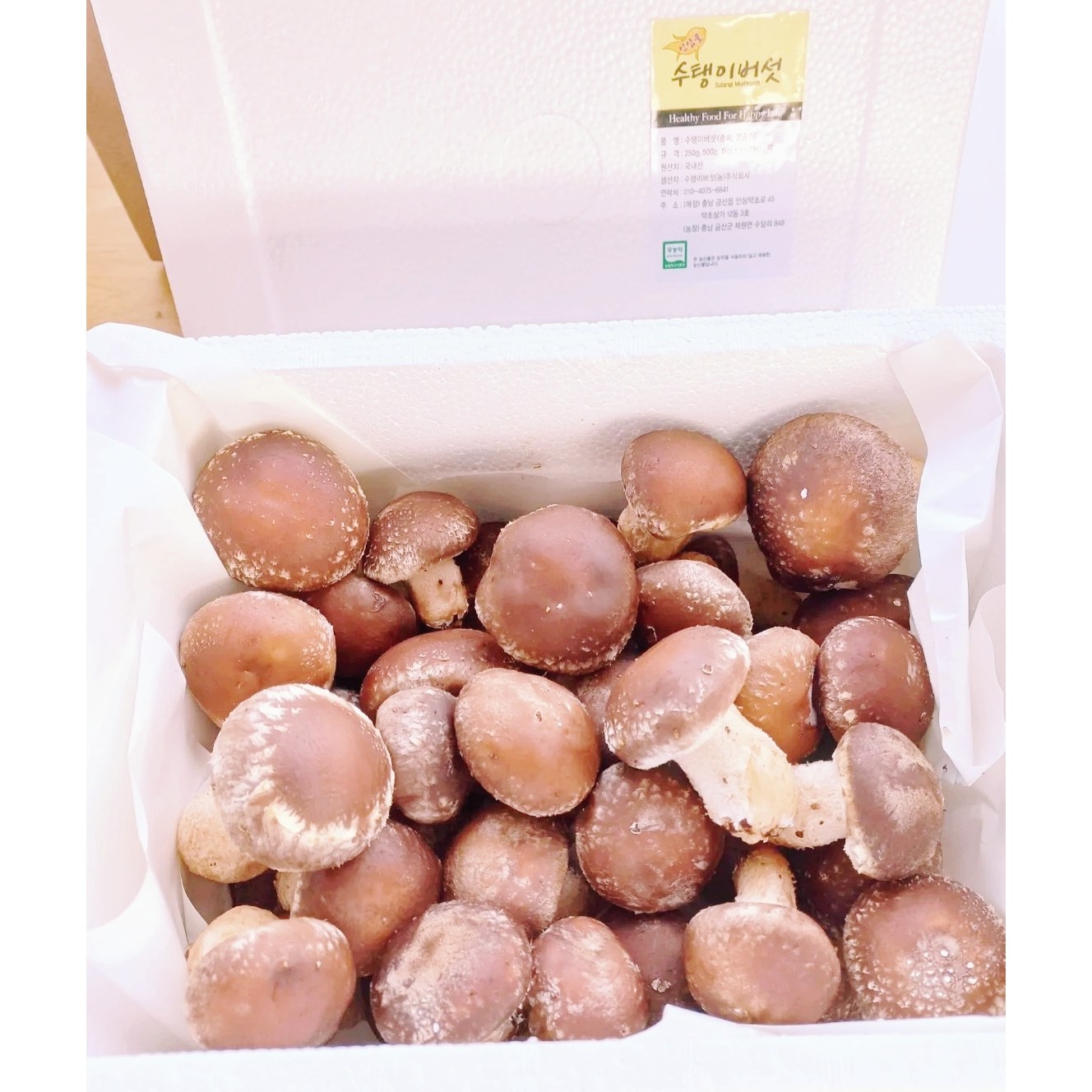 수탱이버섯, 송화버섯, 송고버섯, 솔송화버섯, 송로버섯, 표고버섯, 송이버섯, 선물용버섯, 송화건버섯, 1개, 7-알뜰형(1kg) 20,000원