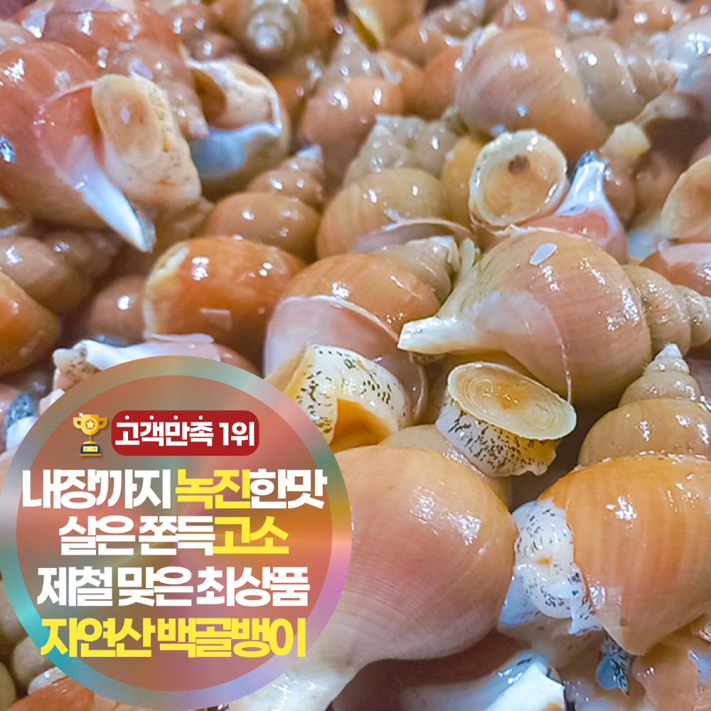 삼시세끼연구소 동해 자연산 백골뱅이 활골뱅이 생물 내장까지 녹진한 제철 최상품, 1박스, 1kg(소소) 33,700원