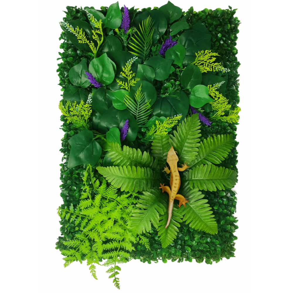 게코홈 크레스티드 게코 백스크린 백업스크린 17,900원