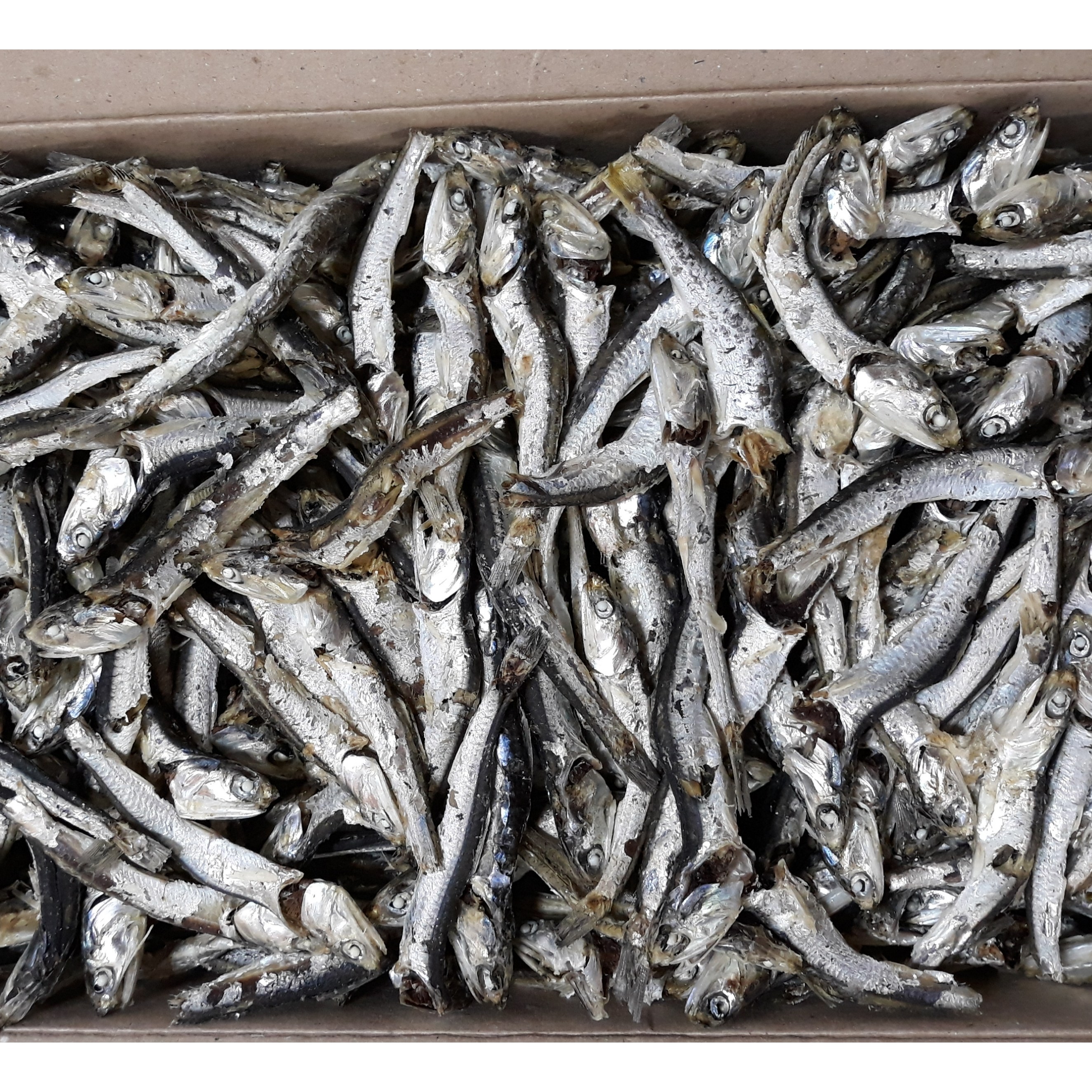 통영산 최고급 다시멸치 1.5kg (한박스), 1개 29,000원