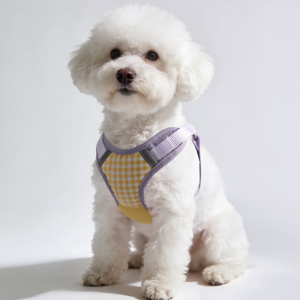 코지스 강아지하네스 + 리드줄 1.5m 세트, 1개, 퍼플 12,250원