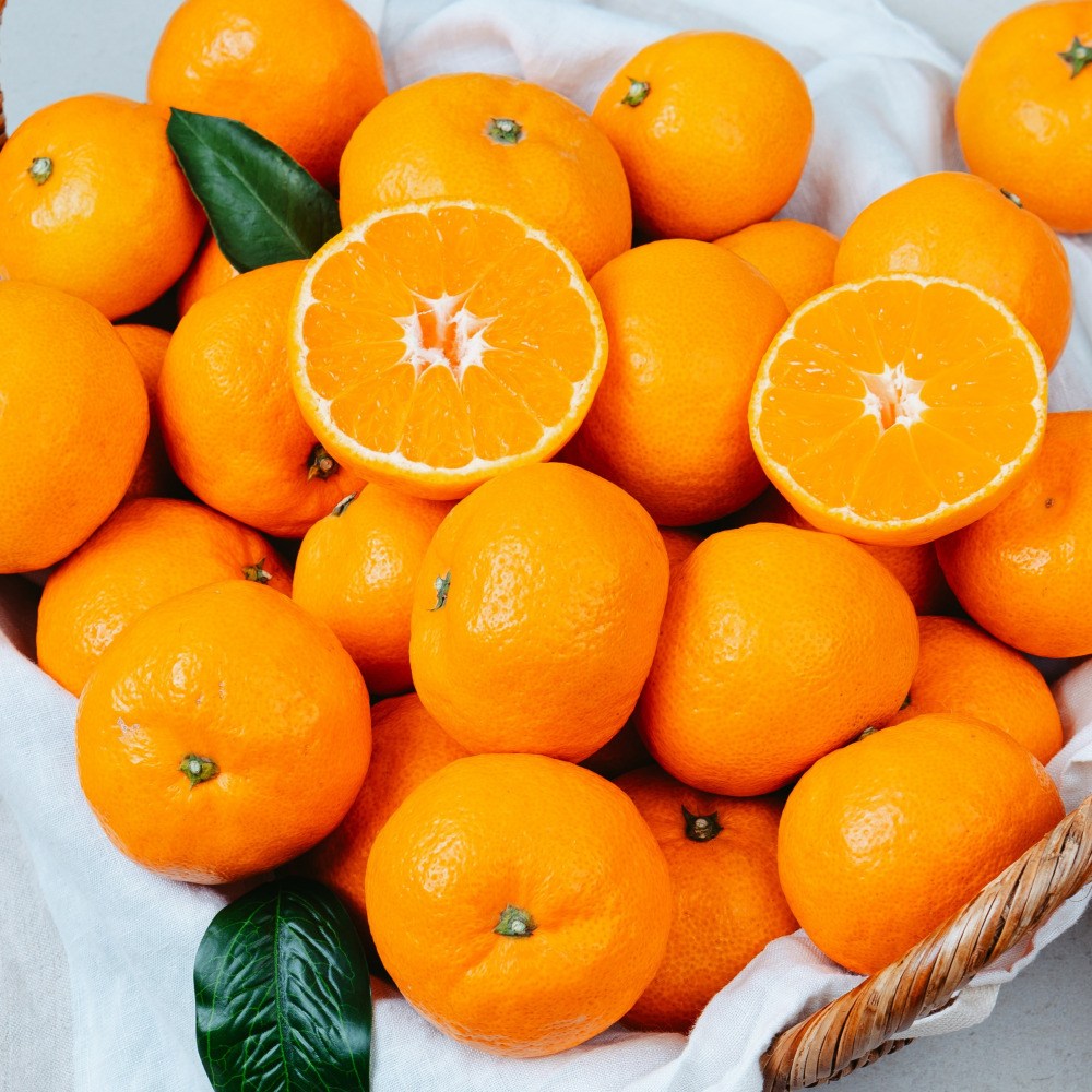 제주 서귀포 고당도 제철 감귤, 1박스, 5kg 로얄과(S/M) 47,900원