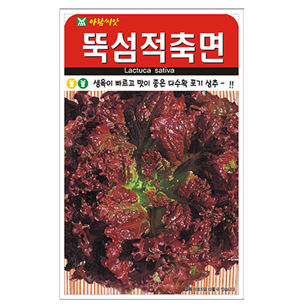 아람 뚝섬적축면 포기 꽃상추 씨앗 2000립 3,700원