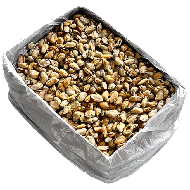 냉동 자숙 홍합살 벌크 대용량, 1개, 중국산 10kg 58,500원