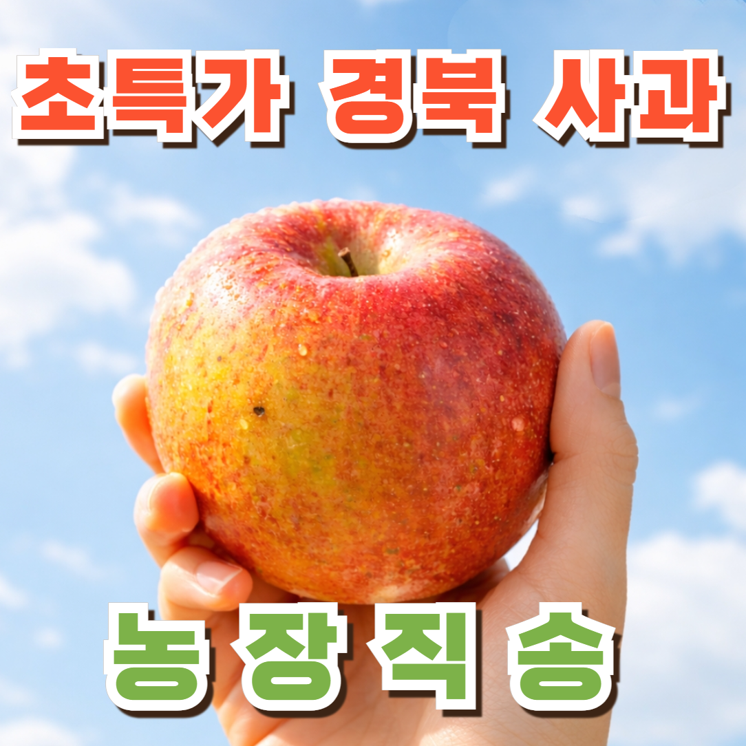 [24시간 초특가] 당일수확 초고당도 경북 부사 사과, 1개, 가정용 5kg 30,320원