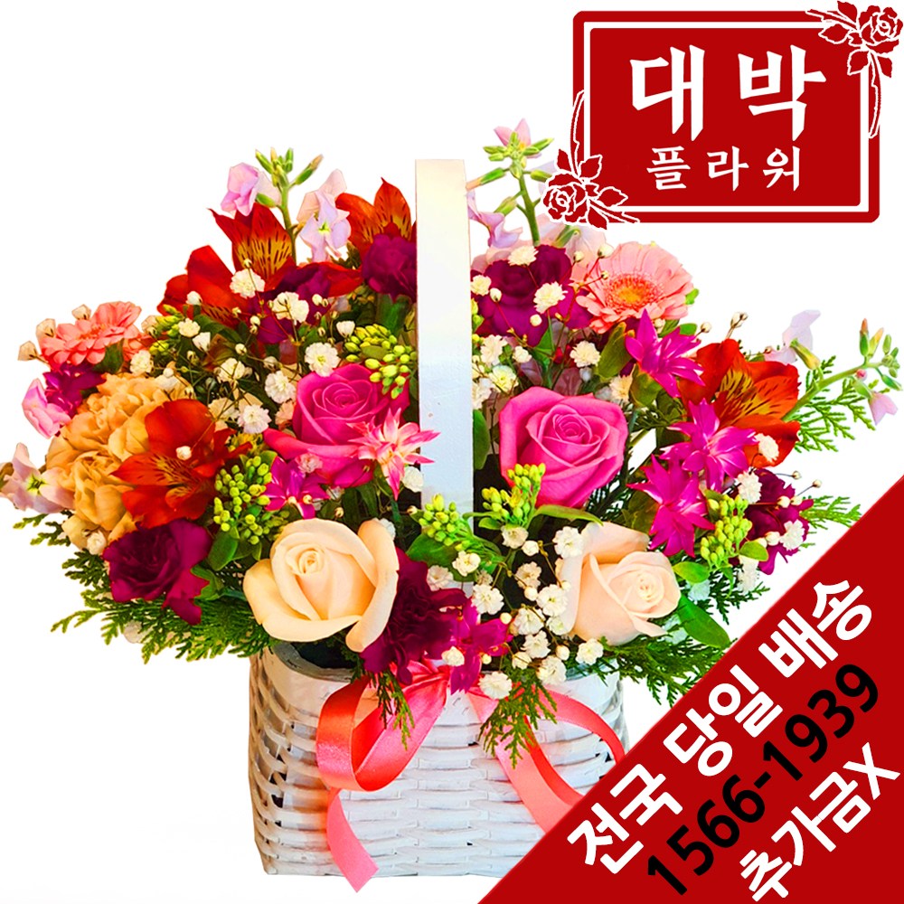 대박플라워 핑크핑크 꽃바구니 생일 기념일 축하꽃선물 전국꽃배달서비스, 1개 56,900원