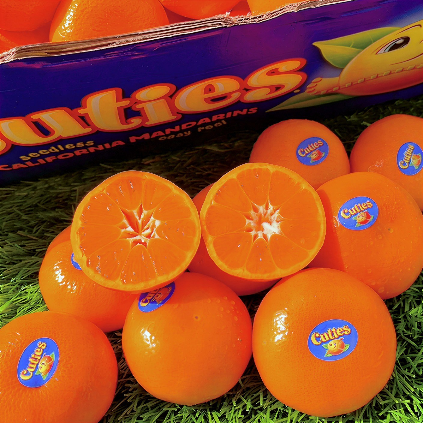 [로열brix] 항공직배송 미국산 만다린귤 감귤 53,800원