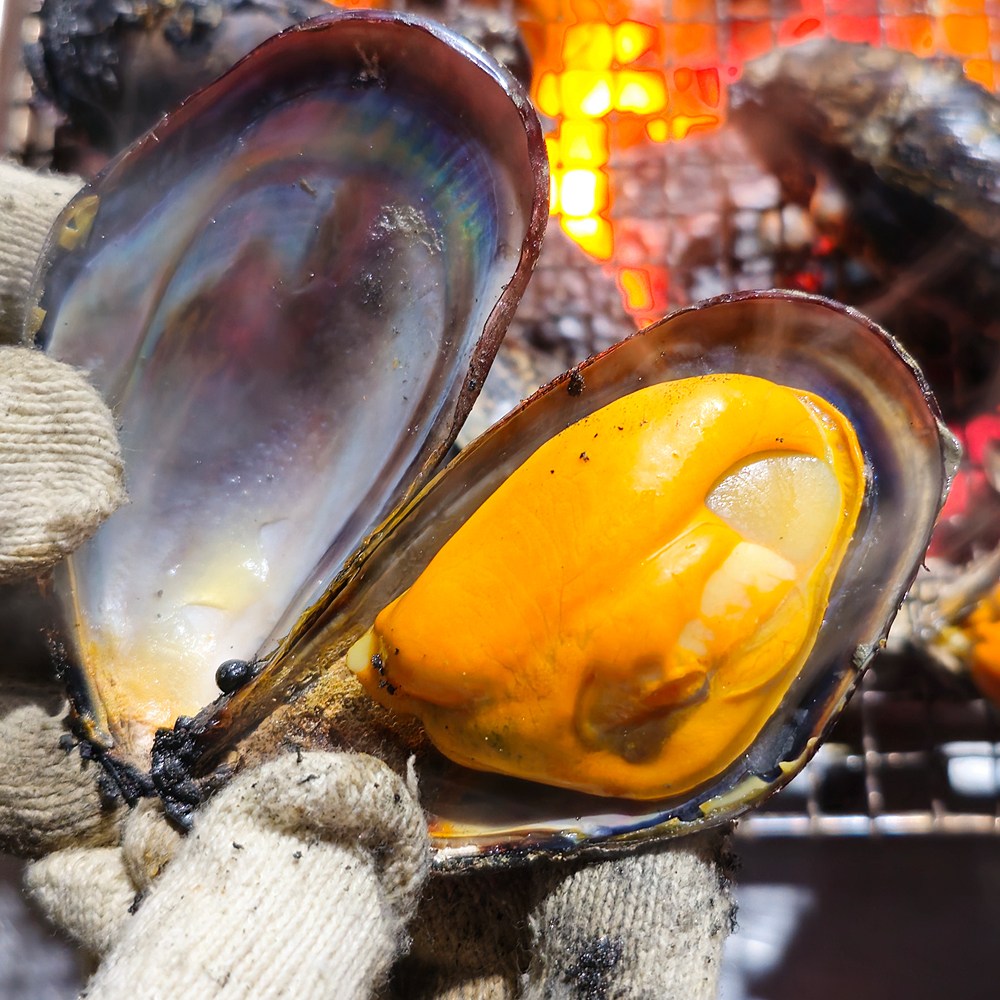 안면도 제철 자연산 섭 홍합 담치1kg 소 사이도 커요~~, 1개, 1kg 8,900원