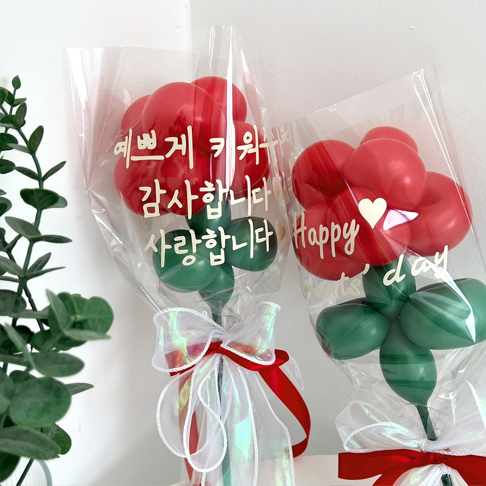 파티아일랜드 카네이션 꽃송이 DIY 세트 요술 풍선 꽃풍선 레터링풍선 스승의날 어버이날 3,900원