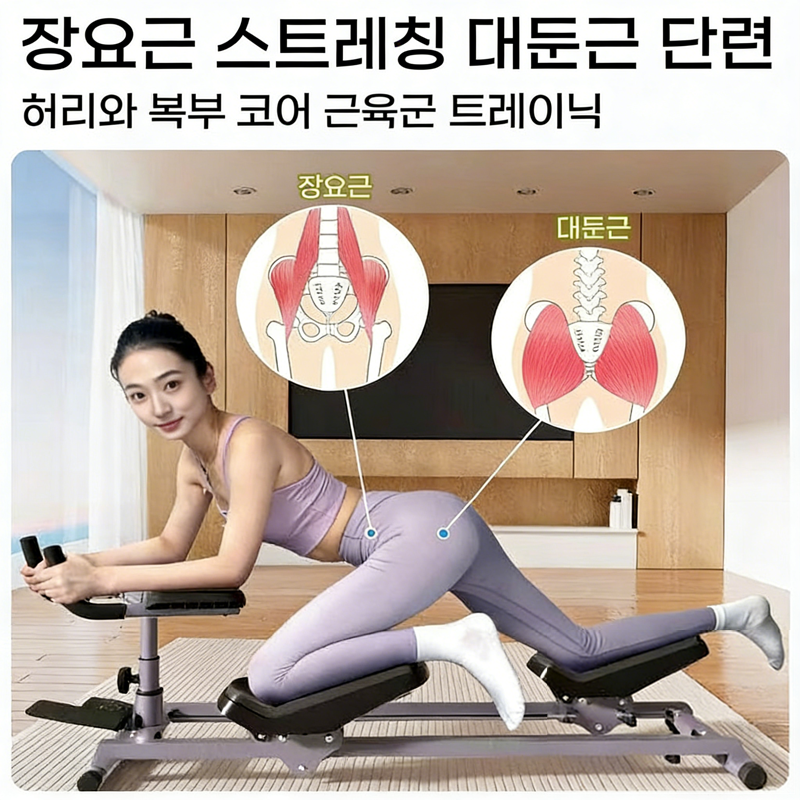 가정용 복근 운동기구 코어 허리 복부 실내 운동기구 재활 홈트 전신운동 머신, 스테인리스색, 프리미엄 모델 183,000원