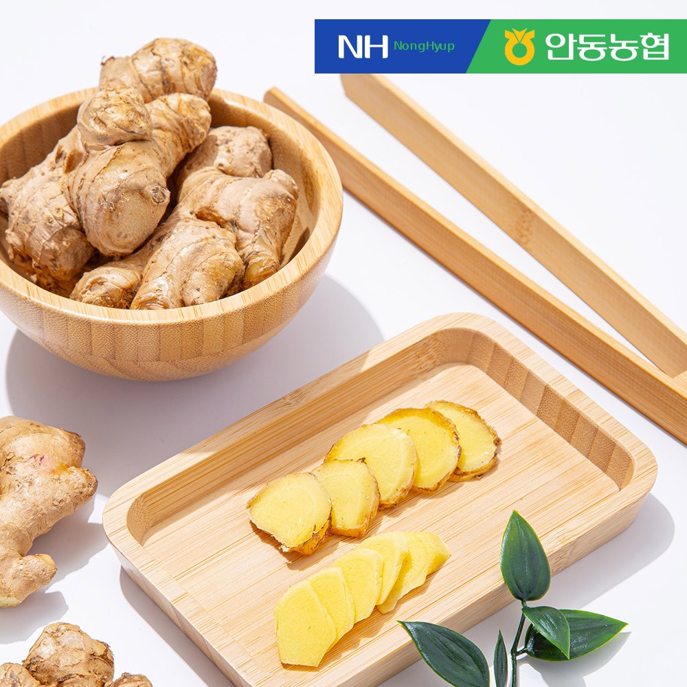 [미식한가] 안동농협 육질이 단단한 흙생강 / 세척생강, 1박스, 흙 생강10kg 99,900원