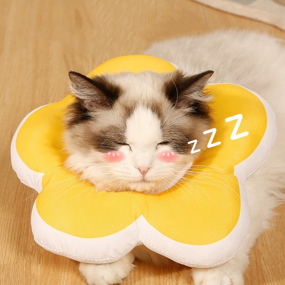 강아지 고양이 플라워 넥카라 반려동물 방수 초경량 목화솜 쿠션 동글이 꿀잠카라 5,600원