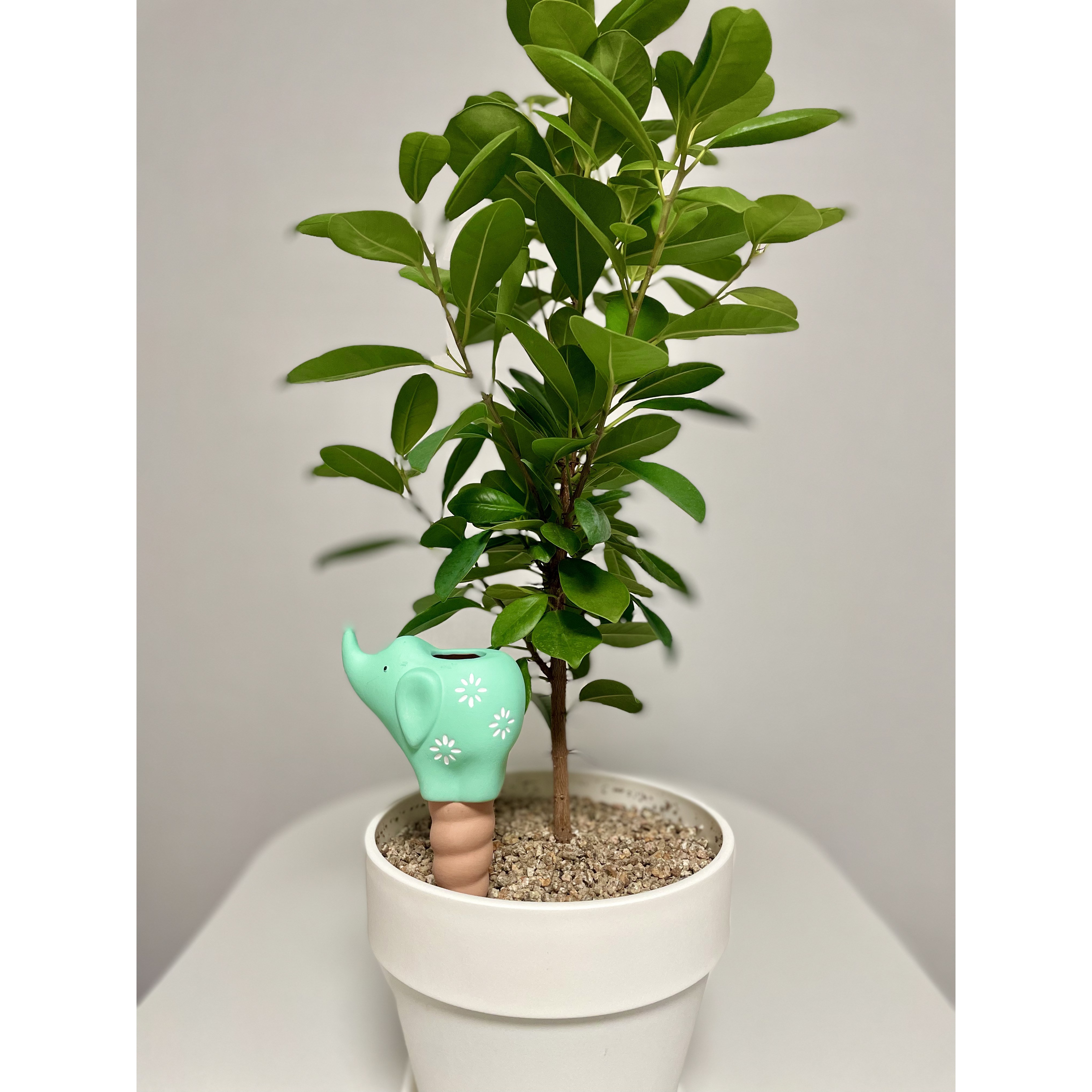 코끼리 모양 자동급수 화분 급수기 테라코타 식물 물주기 10,900원