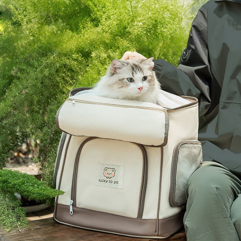 NSION 대용량 애완동물 이동가방 러블리 곰돌이 장식 강아지 고양이 통기성 백팩 23,630원