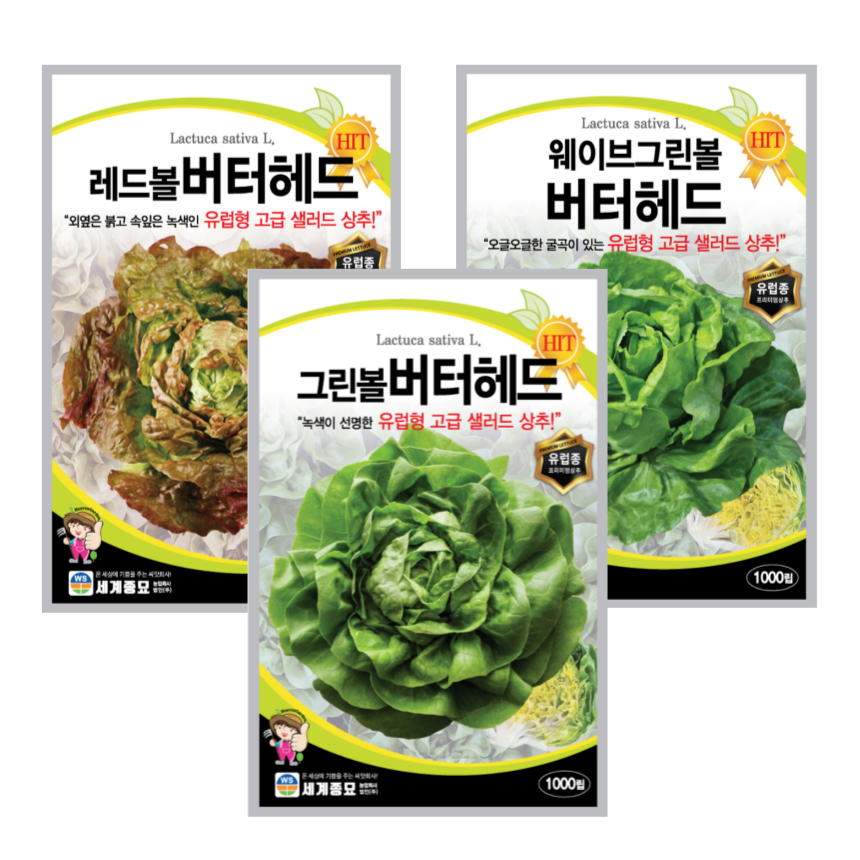 유럽상추 버터헤드 씨앗 3종세트 [무배], 1개 11,400원