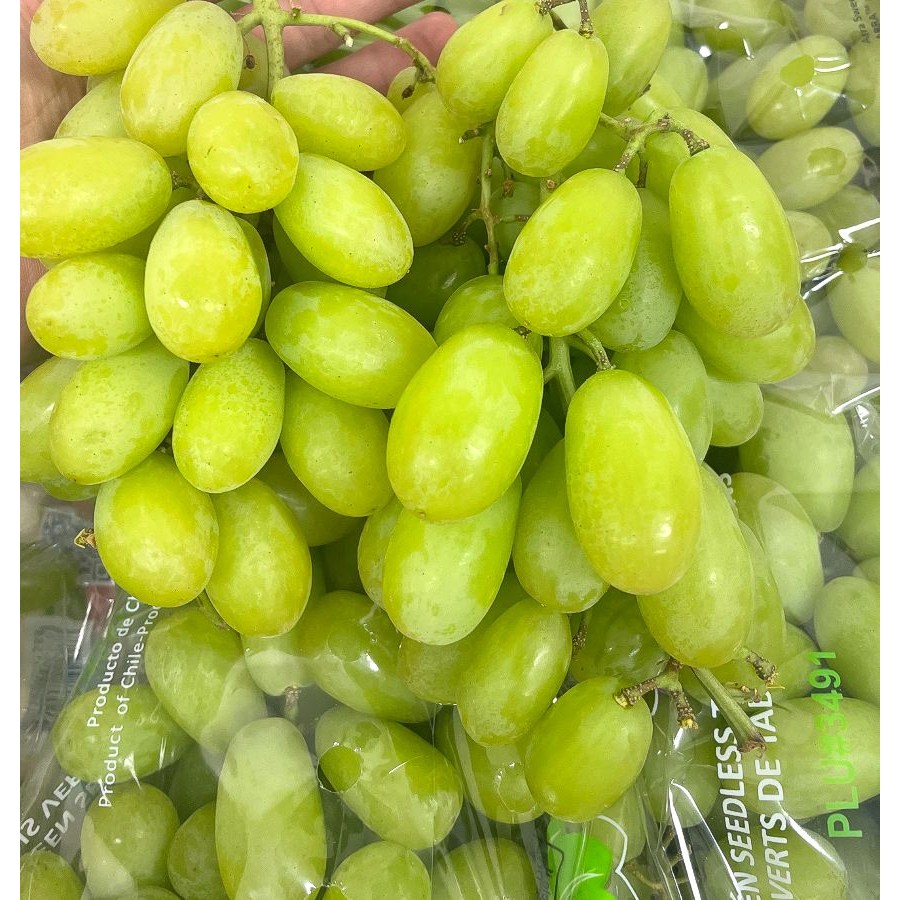 팜보스 사과처럼 아삭한 프리미엄 애플 청포도, 1박스, 애플청포도 4kg 63,900원