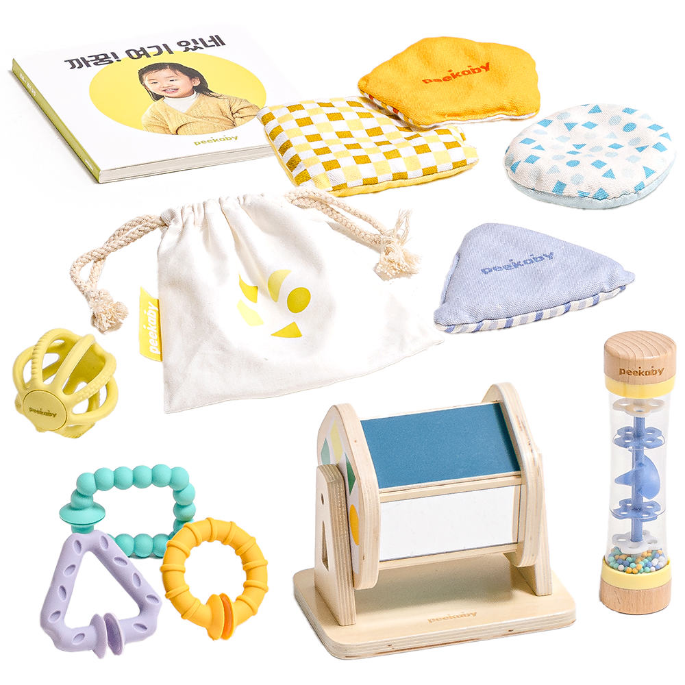피카비 플레이키트 Everyday 3 에센셜 (5-6개월) 몬테소리교구 5개월아기장난감 6개월아기장난감, 1개 89,000원