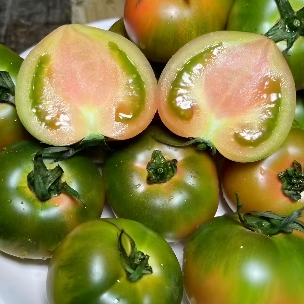 대저 부산 산지직송 단짠 토마토 33,500원