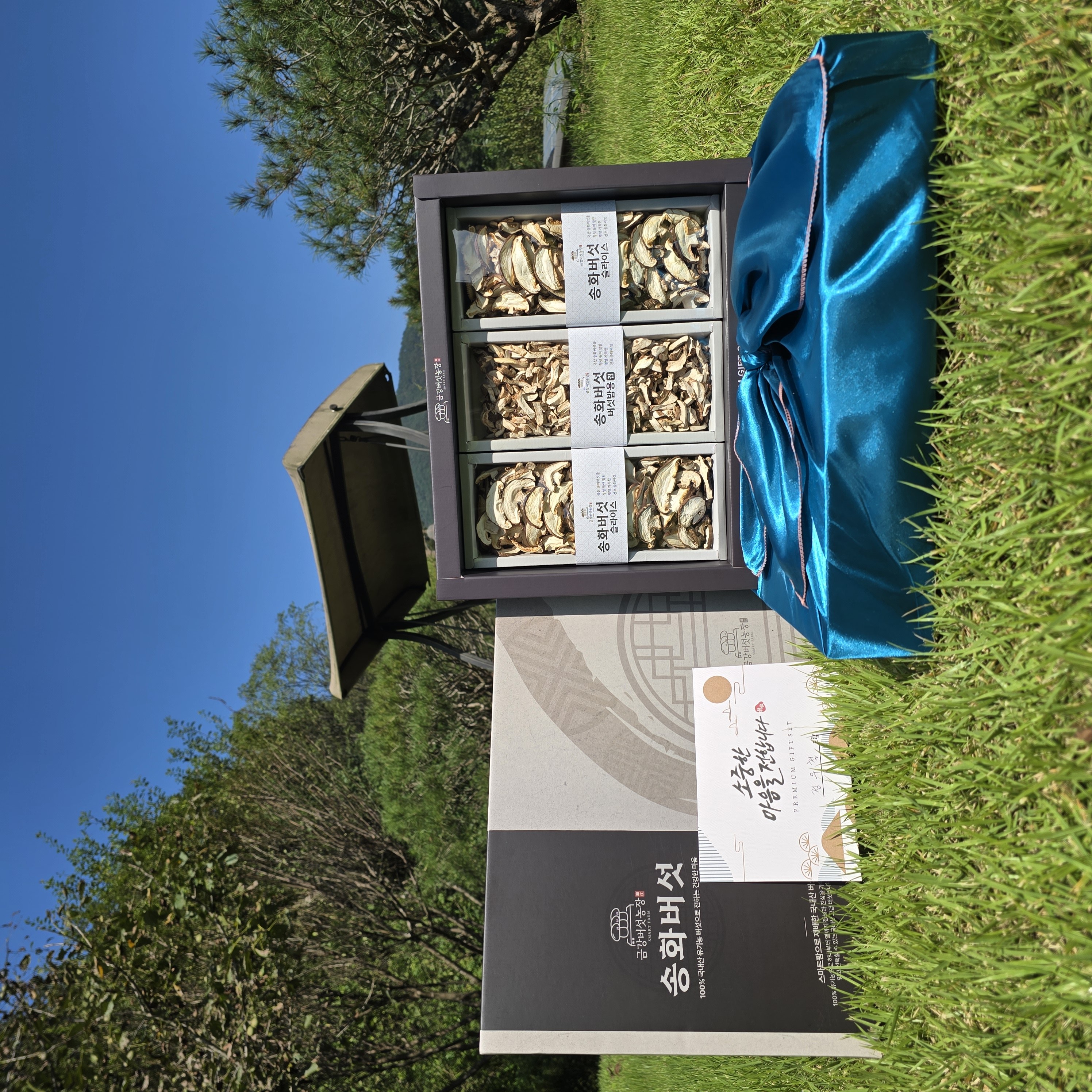 [산지직송]프리미엄 송화버섯 표고버섯 송이버섯 선물세트 가정용 1kg, 1개, 600g(프리미엄 선물용) 49,000원