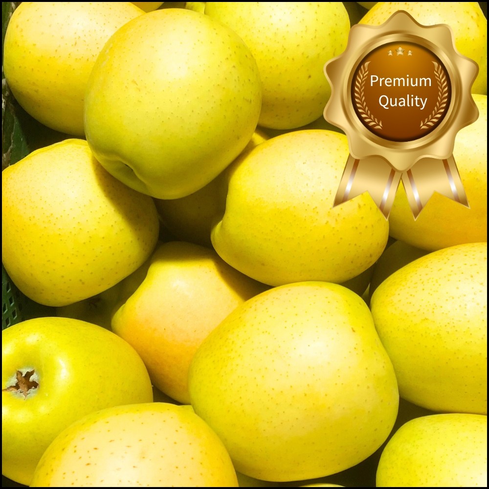 ( 특품 )   벌꿀당도 프리미엄 시나노골드 노란사과 27,900원