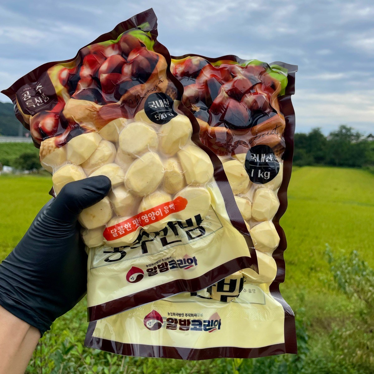 25년 햇 깐밤 공주밤 1kg 생율 알밤 산지직송 당일작업, 1개, 1kg 23,880원