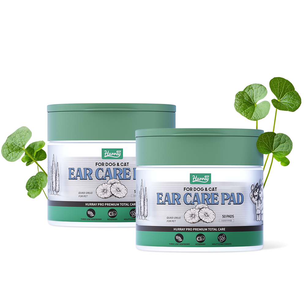 허레이 프로 이어케어패드 강아지 귀세정제 귀염증 고양이 귓병 이어클리너, 2개, 150ml 34,900원