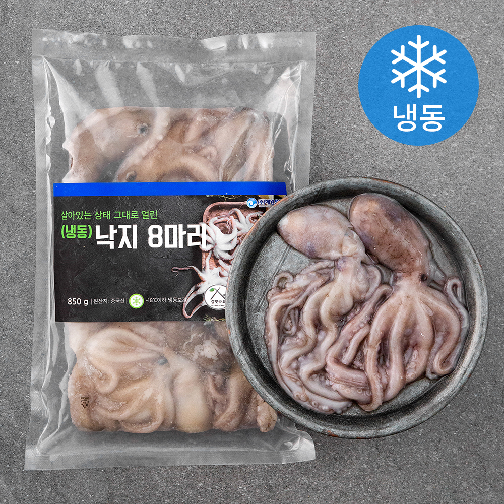 살맛나요 살아있는 상태 그대로 얼린 낙지 8미 (냉동) 14,650원