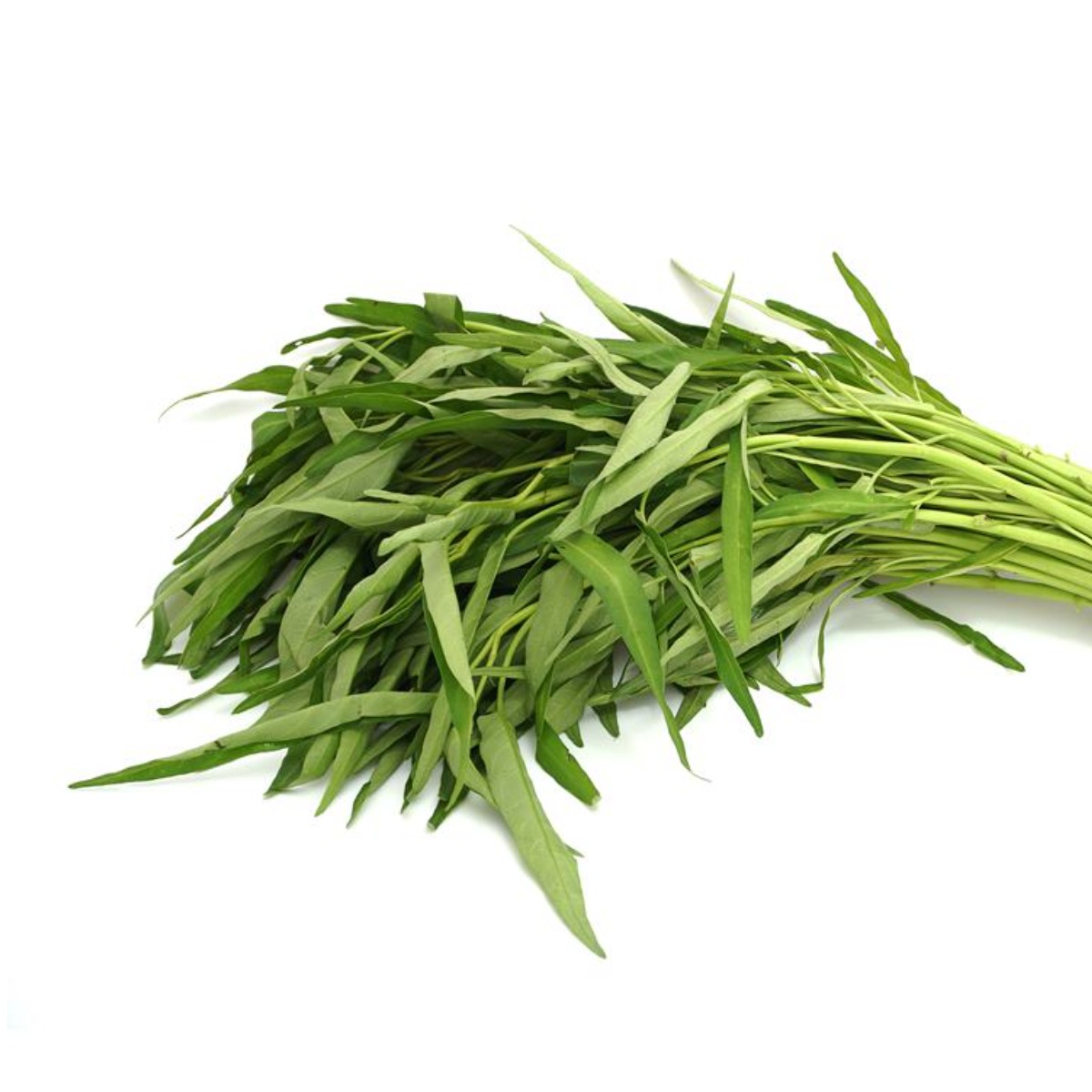 공심채 볶음용 채소 모닝글로리 233,900원