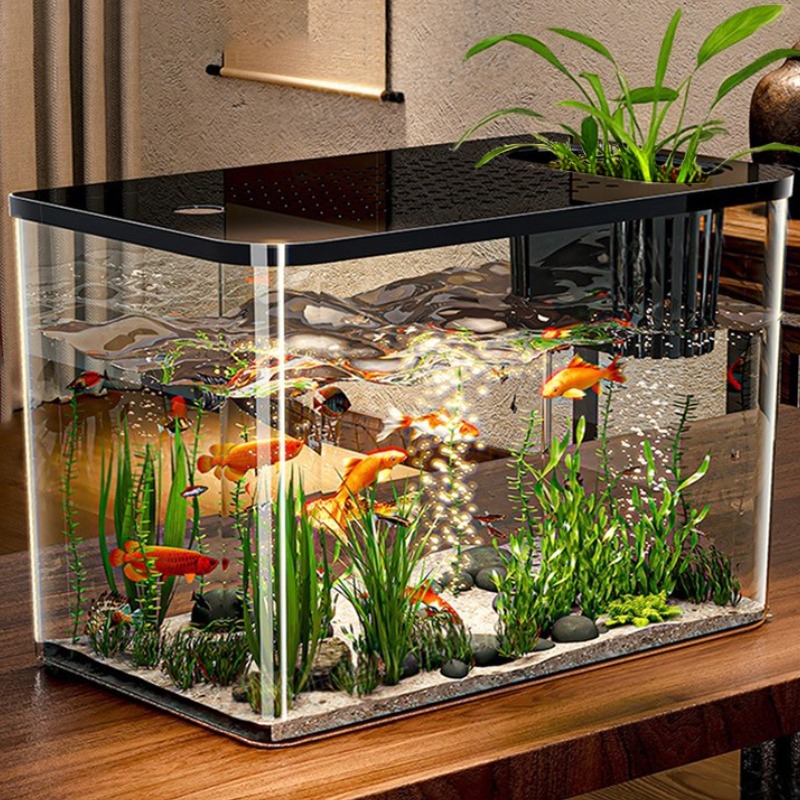 혜신 깨지지않는 안심어항 투명 넓은 어항 24,800원