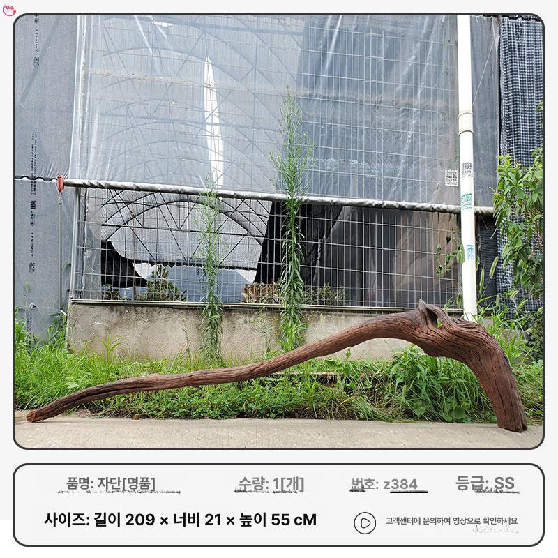 어항 수족관 성형유목 장식품 관상어 해수어 식물 수생 363,500원