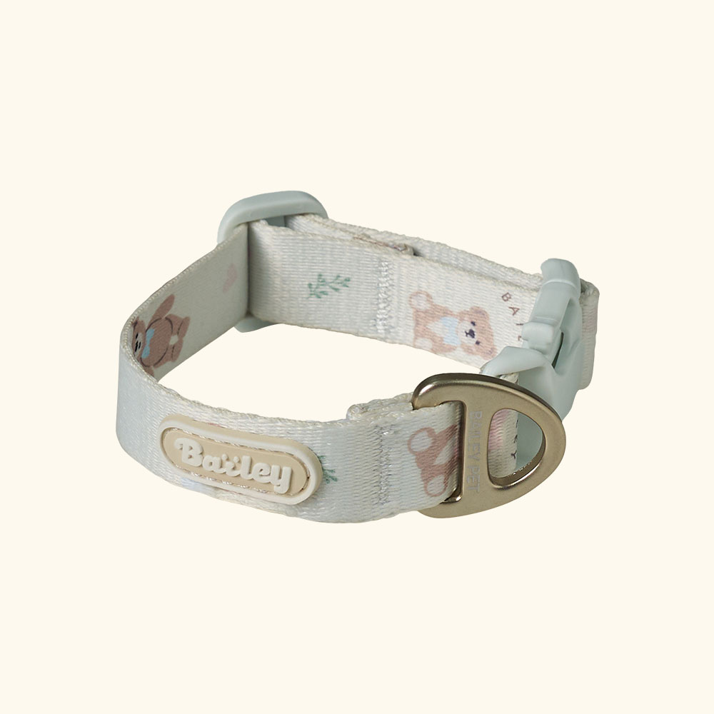 베일리펫 강아지 산책 초경량 웨빙 테디 워키 목줄 13,900원